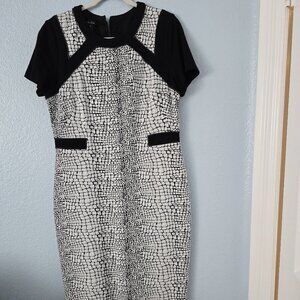 Dress for success! Elegant office dress